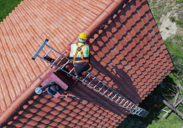 Best Asphalt Shingle Roofing  in Jackson, MN